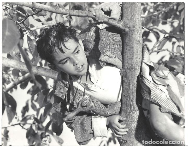 Cine: F29208 JOSELITO FOTO B/N ORIGINAL ESPA&Ntilde;OLA FOTOGRAFO A. ORTAS