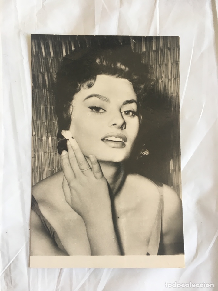 Cine: SOF&Iacute;A LOREN. ACTRIZ.