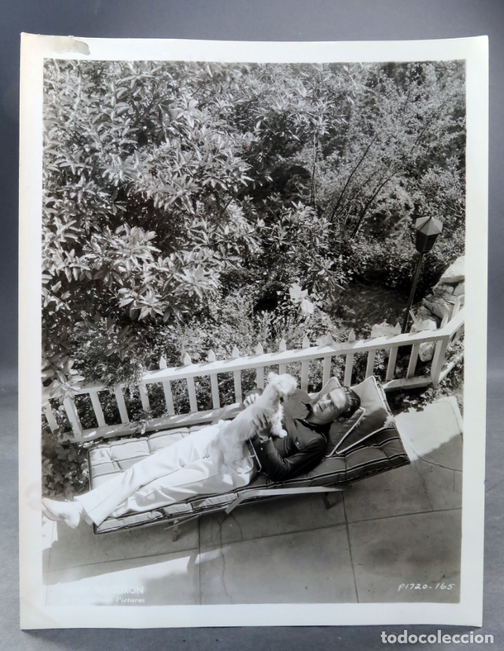 Kino: Foto original prensa actor Henry Wilcoxon Paramount Pictures a&ntilde;os 30 26 cm x 20 cm