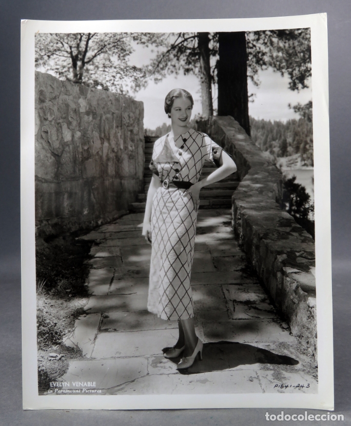 Cine: Foto original prensa Evelyn Venable Paramount a&ntilde;os 30 26 cm x 20 cm