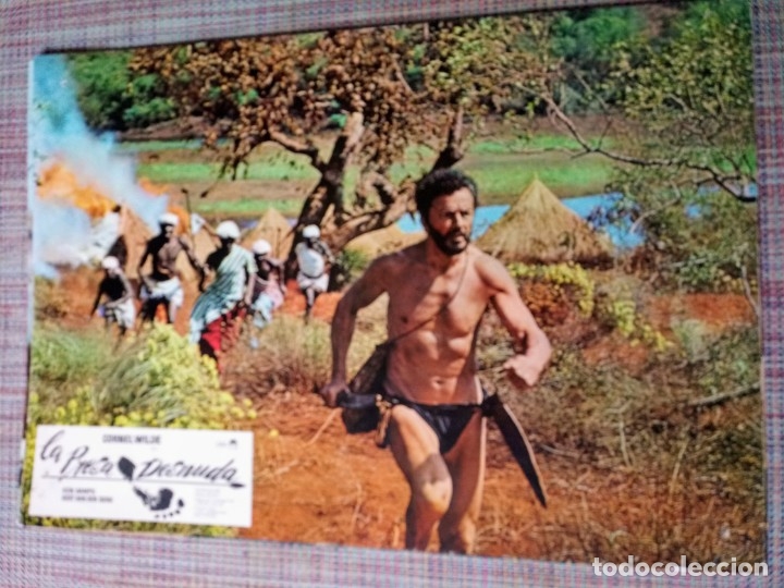 Cine: FOTOCROMOS DE PEL&Iacute;CULA. LA PRESA DESNUDA, CORNEL WILDE, COMPLETO 11 UNIDADES.