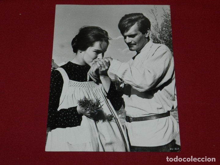 Cine: (M) FOTOGRAFIA PROMOCIONAL Doctor Zhivago , 25,5x20,5 cm, BUEN ESTADO