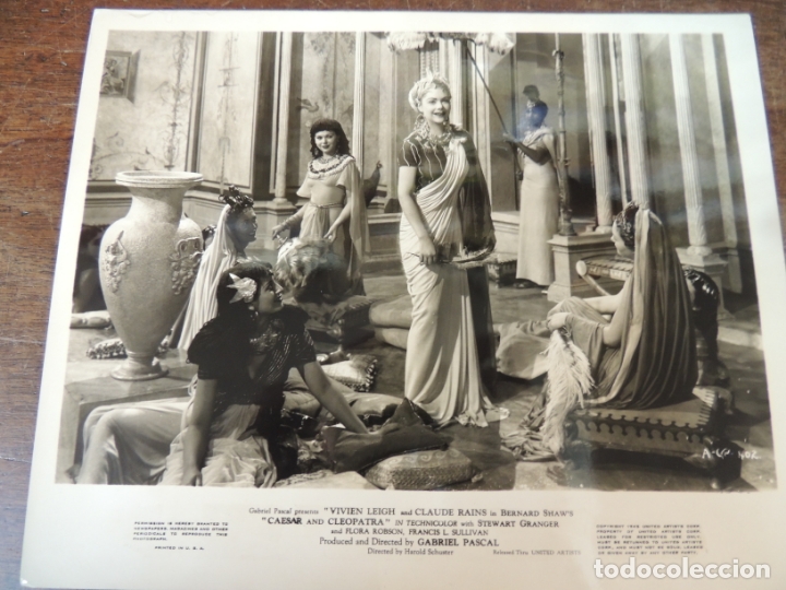 Cine: cesar y cleopatra - foto b/n original -  escena scene Caesar and Cleopatra