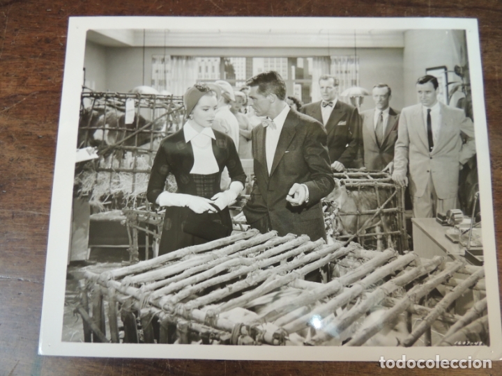 Cine: dream wife - foto b/n original - deborah kerr cary grant La mujer so&ntilde;ada
