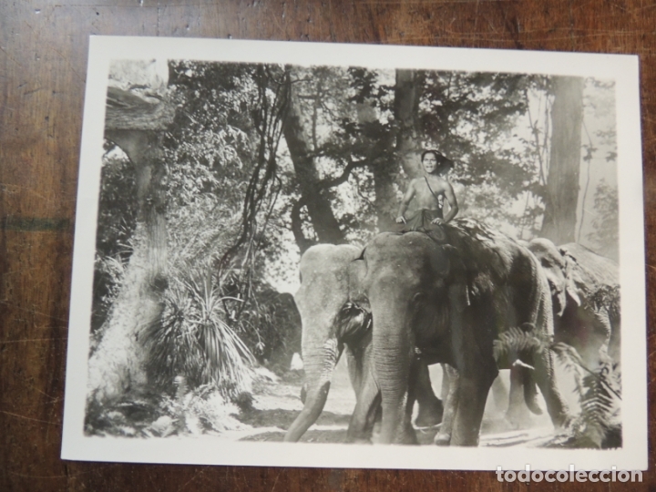 Cine: el libro de la selva - foto b/n original - Rudyard Kipling's Jungle Book sabu