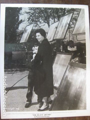 Cine: the black orchid - foto original b/n - la orquidea negra sofia sophia loren  Jimmy Baird