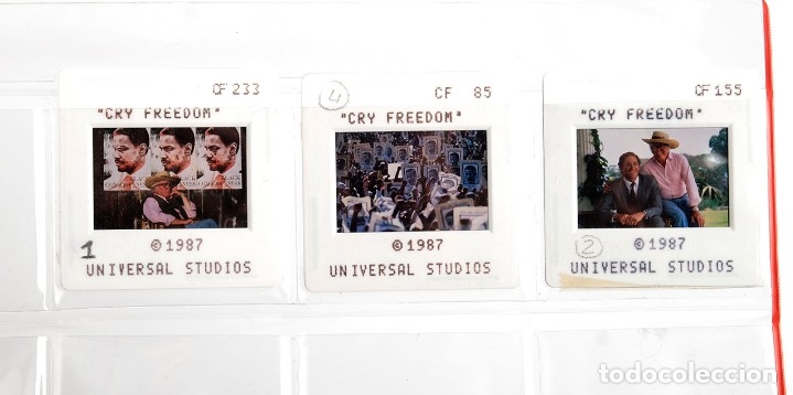 Cine: 3 diapositivas de prensa de Grita Libertad. Richard Attenborough. Universal Studios. 1987