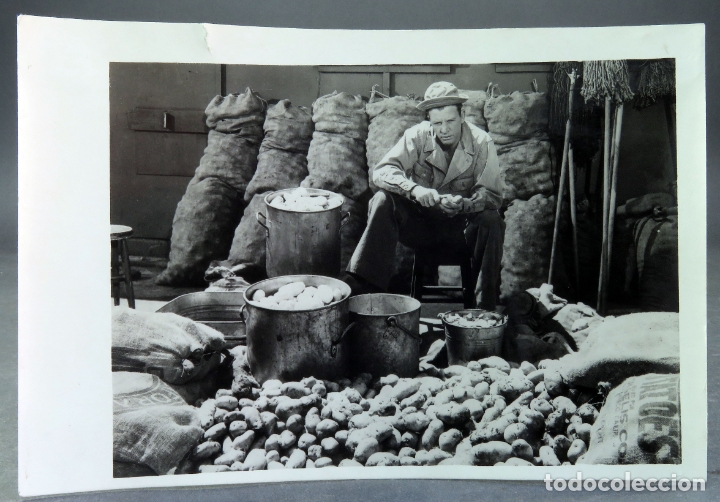Kino: Foto original cine Bill qu&eacute; grande eres 1950 Dan Dailey