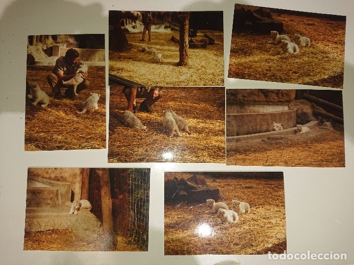 Cine: 6 FOTO - POSTAL DE ROBERT REFORD -MARILYN MONROE -MEL GIPSON -RI , VER IMAGENES