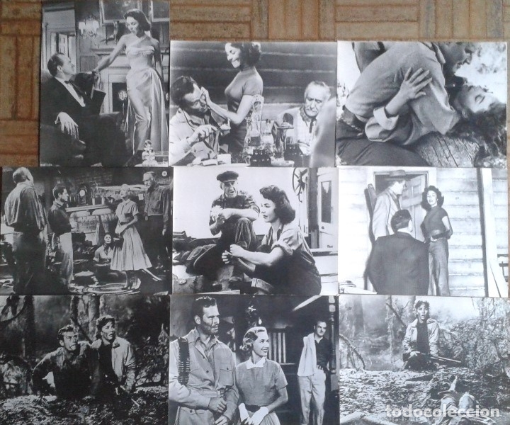 Cine: PASI&Oacute;N BAJO LA NIEBLA. 9 FOTOS 18X24CM. JENNIFER JONES, CHARLTON HESTON, KARL MALDEN