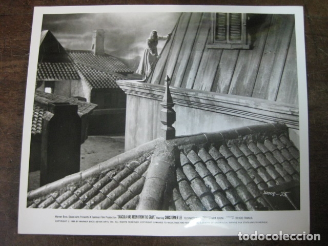 Cine: Dr&aacute;cula vuelve de la tumba - foto original b/n - Veronica Carlson Hammer Film