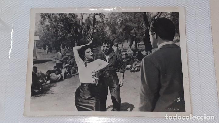 Cine: ANTIGUA FOTOGRAFIA DE LA ACTRIZ AVA GARDNER EN LA PELICULA LA CONDESA DESCALZA A&Ntilde;O 1954 BC 100 - 90