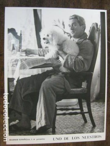 Cine: uno de los nuestros - foto original b/n - robert de niro Goodfellas - dog Poodle Caniche