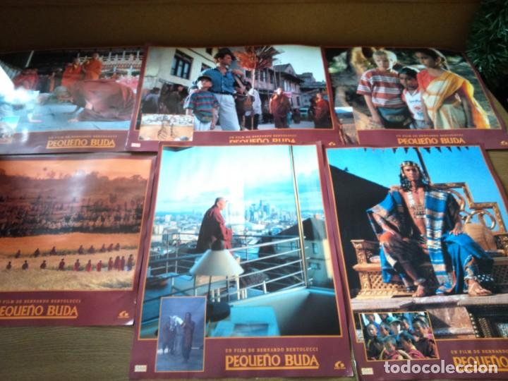 Cine: PEQUE&Ntilde;O BUDA -- 11 FOTOCROMOS ORIGINALES DE CINE -- MEDIDAS 30 X 40 --