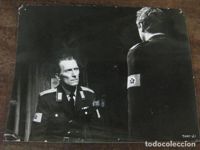 Cine: The Blood Beast Terror - FOTO ORIGINAL B/N - El deseo y la bestia Peter Cushing