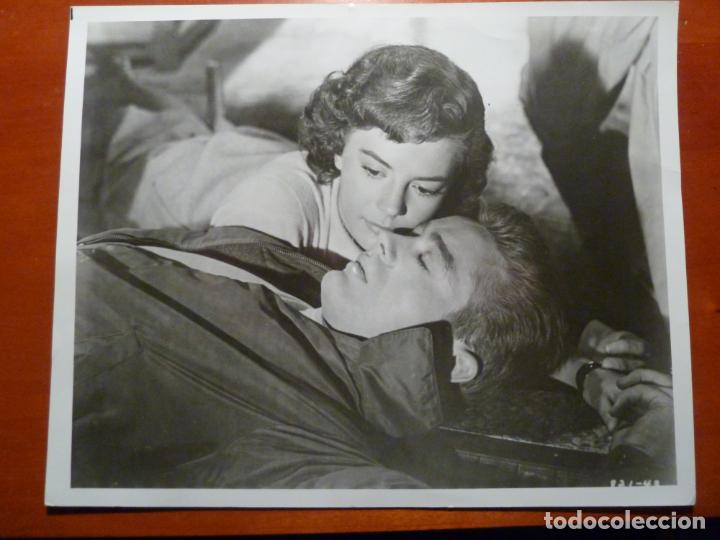 Cine: james dean natalie wood rebelde sin causa foto original americana