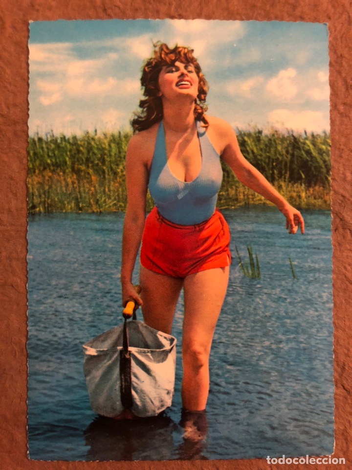 Cine: SOF&Iacute;A LOREN.. POSTAL SIN CIRCULAR KRUGER 902/304.