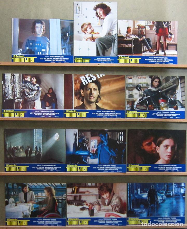 Cine: ACI42 EL SUE&Ntilde;O DEL MONO LOCO FERNANDO TRUEBA JEFF GOLDBLUM SET COMPLETO 12 FOTOCROMOS ORIG ESTRENO
