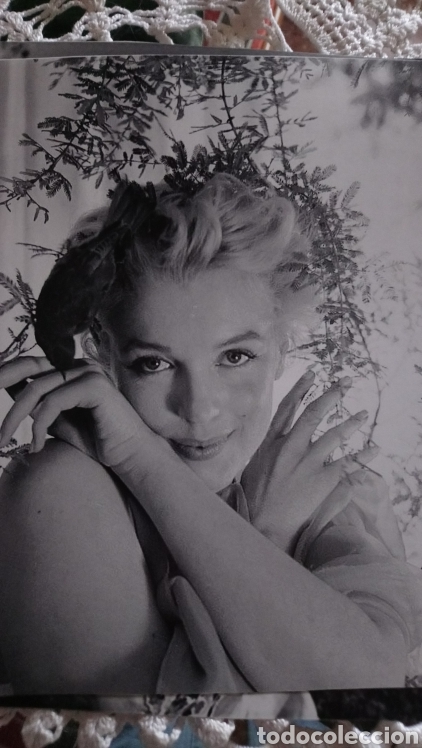 Cine: Marilyn monroe foto 24 x 24 papel saten