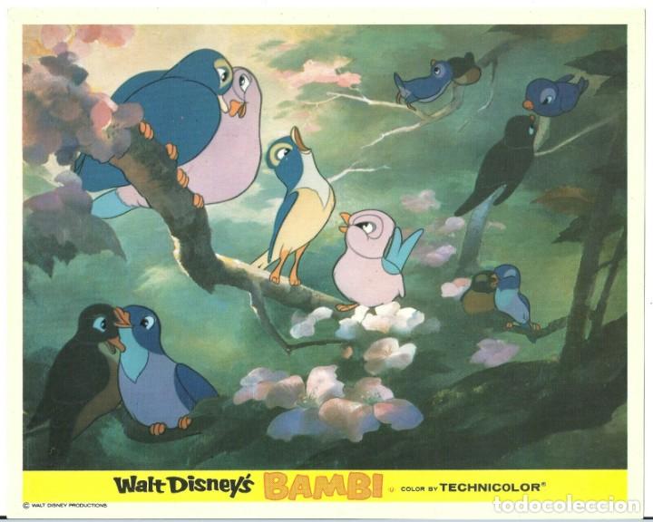 Kino: F31015D BAMBI WALT DISNEY FOTOCROMO ORIGINAL INGLES D