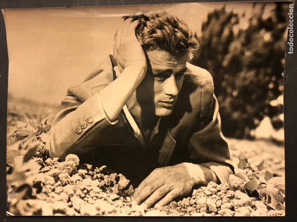 Cine: Foto original de la productora de James Dean.al este del Ed&eacute;n.As films 24 x 18 cm