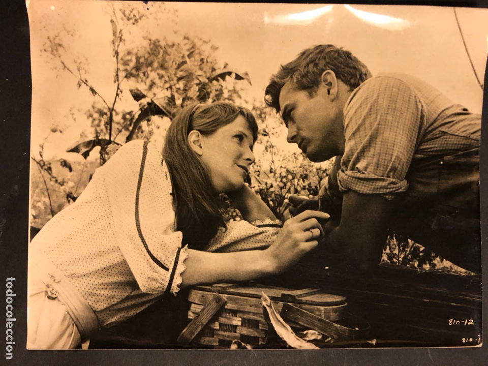 Cine: Foto original de la productora de James Dean.al este del Ed&eacute;n.As films 24 x 18 cm