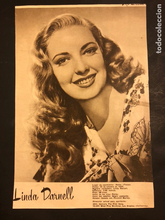 Cine: Foto Cary Grant detr&aacute;s Linda Darnell 25 x 17 cm