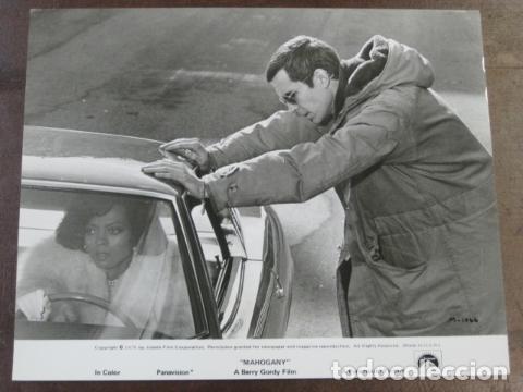 Cine: mahogany - foto b/n original - diana ross anthony perkins Mahogany piel caoba