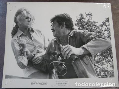 Cine: hornets nest - foto original b/n - rock hudson Nido de avispas Sylva Koscina