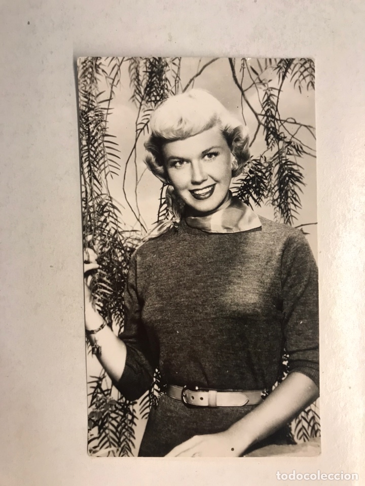 Cine: CINE Actores y Actrices, Postal No.2303, DORIS DAY. Actriz Estadounidense. (h.1950?)