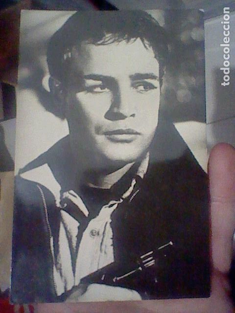 Cine: MARLON BRANDOS/C N&ordm; 2646 TARJETA POSTAL