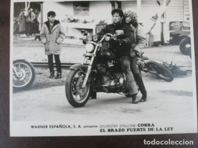 sylvester stallone harley davidson