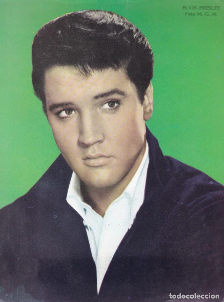 Cine: ELVIS PRESLEY - FOTO M. G. M. - FOTOCROMO