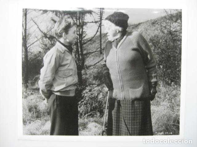 Cine: MURDER SHE SAID - FOTO ORIGINAL B/N - EL TREN DE LAS 4:50 MARGARET RUTHERFORD AGATHA CHRISTIE