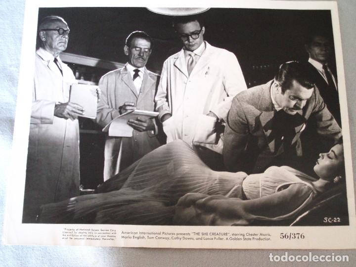Cine: FOTO PROMOCIONAL. &rdquo;THE SHE CREATURE&rdquo; 56/376 CHESTER MORRIS, MARLA ENGLISH, TOM CONWAY.CATHY DOWNS.