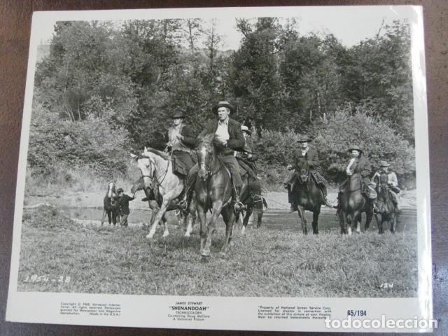 Cine: shenandoah - foto original b/n - western el valle de la violencia james stewart western