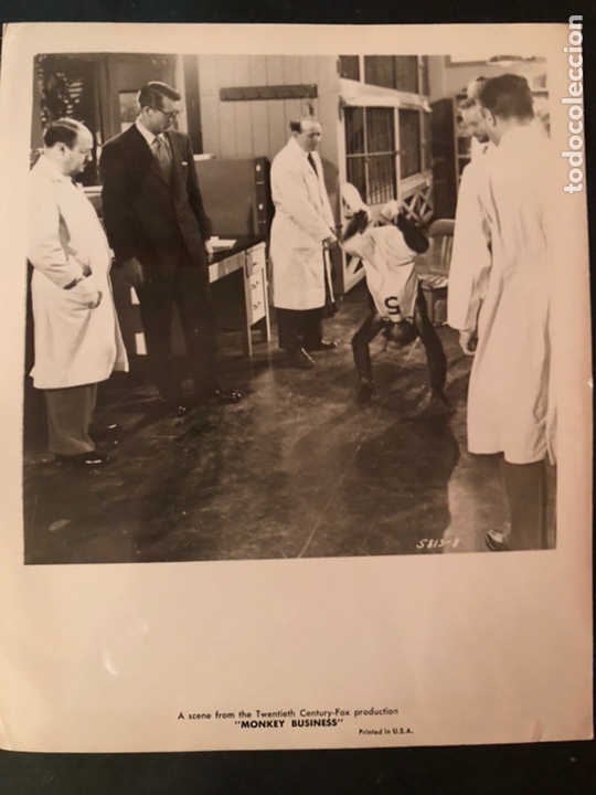 Cine: Foto original 20th century Fox de Cary Grant.Monkey Business 25 x 20 cm