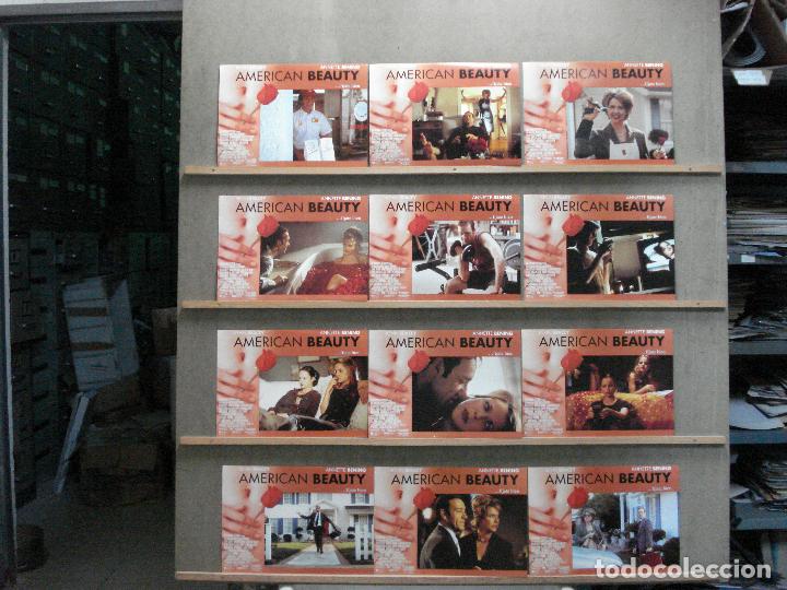 Cine: SCDO 031 AMERICAN BEAUTY KEVIN SPACEY ANNETTE BENING SET COMPLETO 12 FOTOCROMOS ORIGINAL ESTRENO