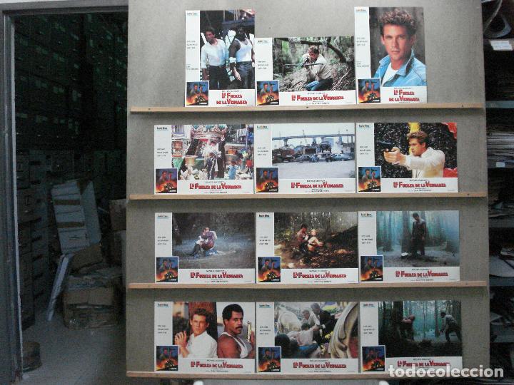 Cine: SCDO 042 LA FUERZA DE LA VENGANZA MICHAEL DUDIKOFF SET COMPLETO 12 FOTOCROMOS ORIGINAL ESTRENO