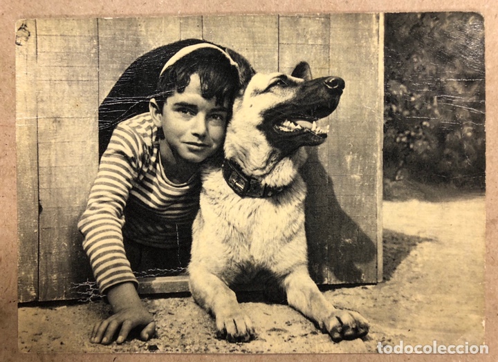 Cine: JOSELITO &ldquo;LOS DOS GOLFILLOS&rdquo;. POSTAL SIN CIRCULAR. SUEVIA FILMS. CON DEDICATORIA IMPRESA.