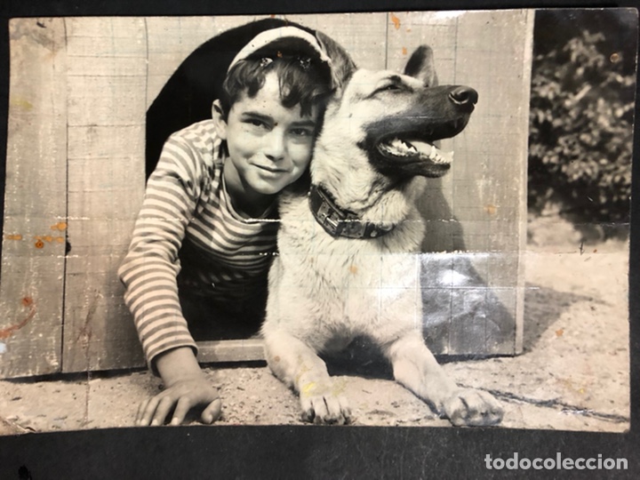 Cine: Foto original de joselito.los dos golfillos 17 x 12 cm