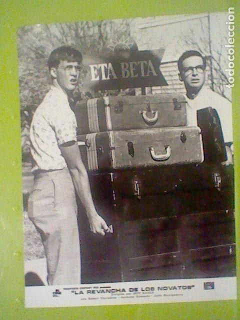 Cine: REVANCHA DE LOS NOVATOS FOTOGRAFIA PELICULA 1970 18 X 24 CMS APROX FOTO CINE MALETAS