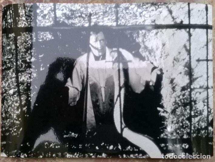 Kino: foto de Abdruck Honorarfrei: King Kobra, 1980. Thomas Farrow (18 x 13 cm)