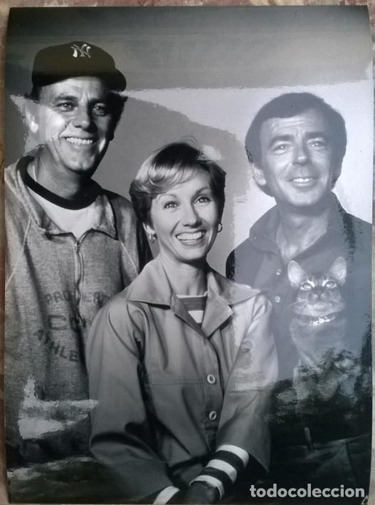 Cine: foto de Abdruck Honorarfrei: Die Katze aus dem Weltraum (Cat from outer space) 1977 (18x13 cm)