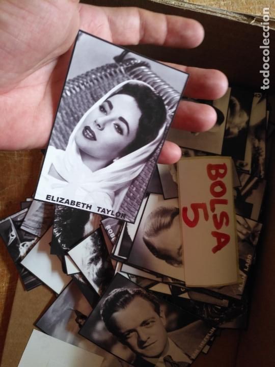 Kino: Cine actor o actriz fotografia o foto fotocromo fotografico blanco y negro leer , ELISABETH TAYLOR