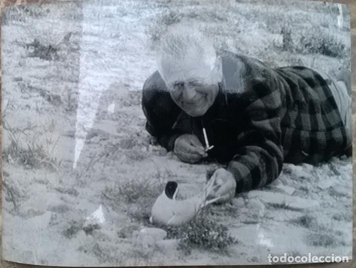 Cinema: foto de Abdruck Honorarfrei: R&uuml;ckkehr in die Zukunft (W&auml;lder und Pr&auml;rien), Heinz Sielmann 13x18 cm