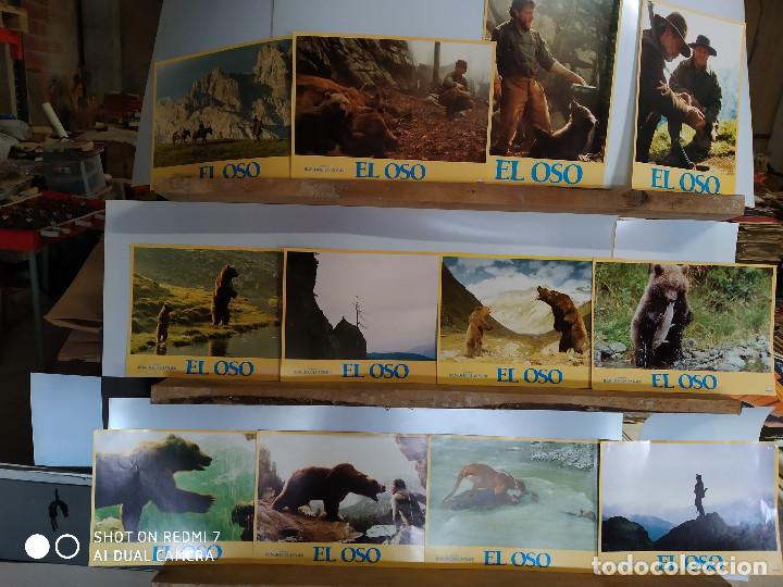 Cine: El oso Jack Wallace, Tch&eacute;ky Karyo, Andr&eacute; Lacombe 12 FOTOCROMOS