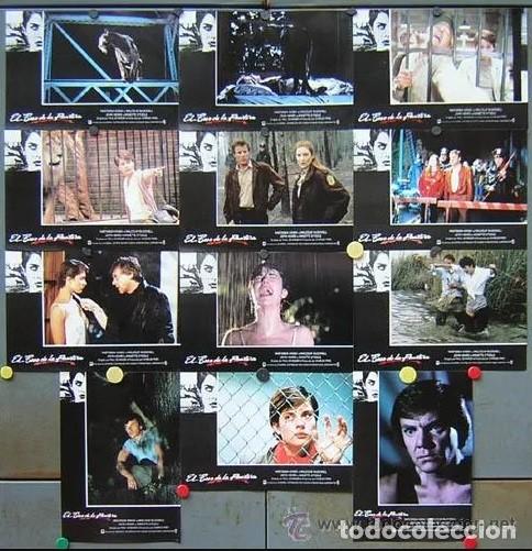 Cin&eacute;ma: SCDO 082 EL BESO DE LA PANTERA NASTASSJA KINSKI MALCOLM MACDOWELL TERROR SET 12 FOTOCROMOS ESTRENO