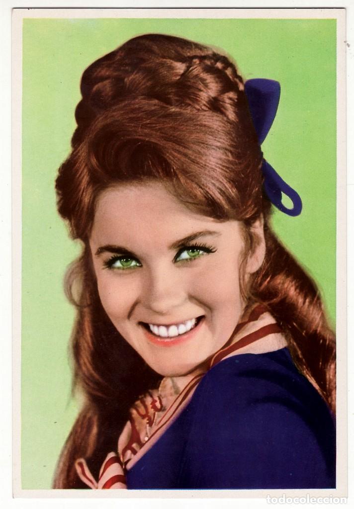 Cinema: TARJETA POSTAL ARTISTAS DE CINE ANN MARGRET 455-V. POSTALES RECUADRO BLANCO