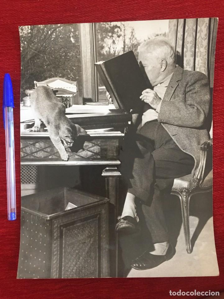 Cine: F8909 FOTO FOTOGRAFIA ORIGINAL DE PRENSA CHARLOT CHARLES CHAPLIN Y SU GATO (1-4-1959)